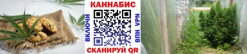 KRAKEN ссылки  цена наркотик  Изобильный  Печенье с ТГК конопля 