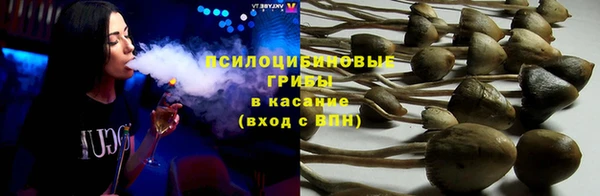 PSILOCYBIN Володарск