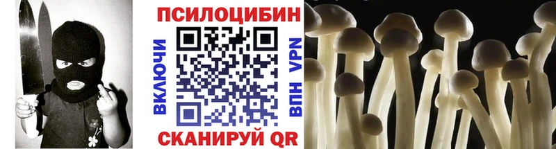 Псилоцибиновые грибы Psilocybine cubensis  Изобильный 